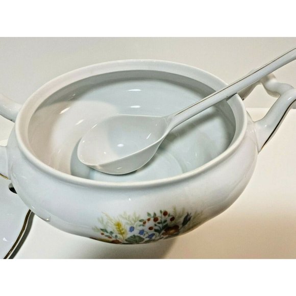 Vintage Favolina POLAND Soup Tureen & Ladle Floral - Picture 7 of 10